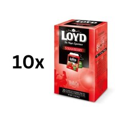 Чай фруктовый Loyd Horeca line со вкусом клубники, 20 х 2г, упаковка 10 шт. цена и информация | Чай | pigu.lt