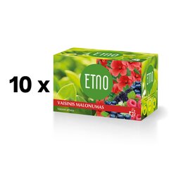 Чай фруктовый Etno Fruit Pleasure, 22 x 1,5 г, в упаковке 10 шт. цена и информация | Чай | pigu.lt