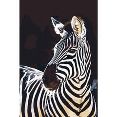Piešimo rinkinys Zebras 50x33 kaina ir informacija | Tapyba pagal skaičius | pigu.lt