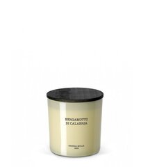 Ароматическая свеча Cereria Molla Bergamotto di Calabria, XL, 80ч цена и информация | Подсвечники, свечи | pigu.lt