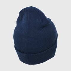 Мужская шапка Nike Y Nk Cuffed Beanie Navy CW5871 410, синяя цена и информация | Мужские шарфы, шапки, перчатки | pigu.lt