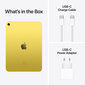iPad 10.9" Wi-Fi 64GB - Yellow 10th Gen - MPQ23HC/A kaina ir informacija | Planšetiniai kompiuteriai | pigu.lt