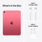 iPad 10.9" Wi-Fi + Cellular 64GB - Pink 10th Gen - MQ6M3HC/A kaina ir informacija | Planšetiniai kompiuteriai | pigu.lt