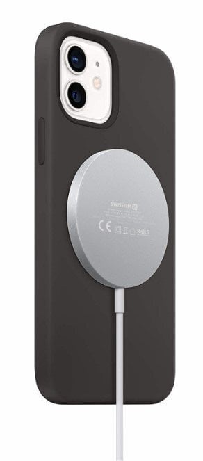 Swissten MagStick, Wireless/USB-C, 2A цена и информация | Krovikliai telefonams | pigu.lt