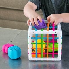 Гибкий сенсорный сортировщик кубиков цена и информация | Игрушки для малышей | pigu.lt
