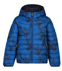 Icepeak striukė berniukams 200g Kempen 50013-2P*380 kaina ir informacija | Striukės berniukams | pigu.lt