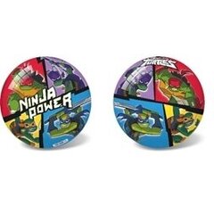 Kamuolys Star Rise Of Tmnt Ninja 23 cm kaina ir informacija | Vandens, smėlio ir paplūdimio žaislai | pigu.lt