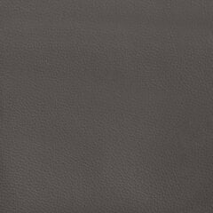 vidaXL Lovos rėmas su spyruoklėmis, pilkas, 100x200cm, dirbtinė oda kaina ir informacija | Lovos | pigu.lt