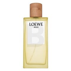 Loewe Agua de Loewe Туалетная вода унисекс 100 мл цена и информация | Женские духи | pigu.lt