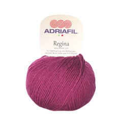 Пряжа Adriafil Regina 50 г, цвет 53 цена и информация | Принадлежности для вязания | pigu.lt