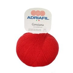 Пряжа Adriafil Genziana  50 г, цвет 17 цена и информация | Принадлежности для вязания | pigu.lt