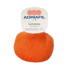 Пряжа Adriafil Genziana  50 г, цвет 37 цена и информация | Принадлежности для вязания | pigu.lt