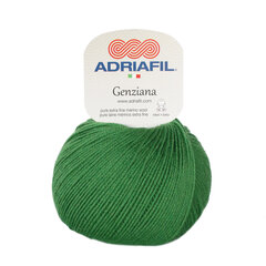 Пряжа Adriafil Genziana  50 г, цвет 38 цена и информация | Принадлежности для вязания | pigu.lt