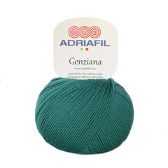 Пряжа Adriafil Genziana  50 г, цвет 48 цена и информация | Принадлежности для вязания | pigu.lt