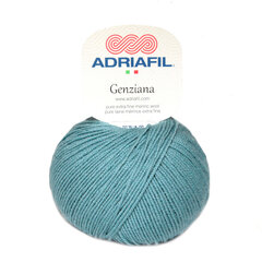 Пряжа Adriafil Genziana  50 г, цвет 56 цена и информация | Принадлежности для вязания | pigu.lt