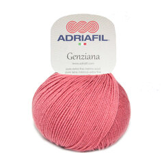 Пряжа Adriafil Genziana  50 г, цвет 58 цена и информация | Принадлежности для вязания | pigu.lt