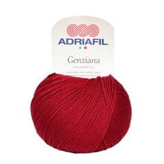 Пряжа Adriafil Genziana  50 г, цвет 60 цена и информация | Принадлежности для вязания | pigu.lt