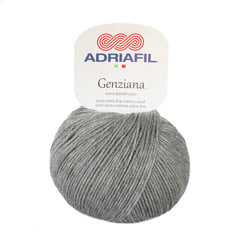 Пряжа Adriafil Genziana  50 г, цвет 82 цена и информация | Принадлежности для вязания | pigu.lt