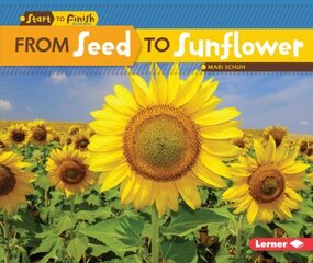 From Seed to Sunflower kaina ir informacija | Knygos paaugliams ir jaunimui | pigu.lt