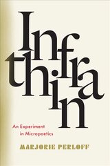 Infrathin: An Experiment in Micropoetics цена и информация | Исторические книги | pigu.lt