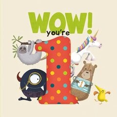 WOW! You're One birthday book цена и информация | Книги для самых маленьких | pigu.lt
