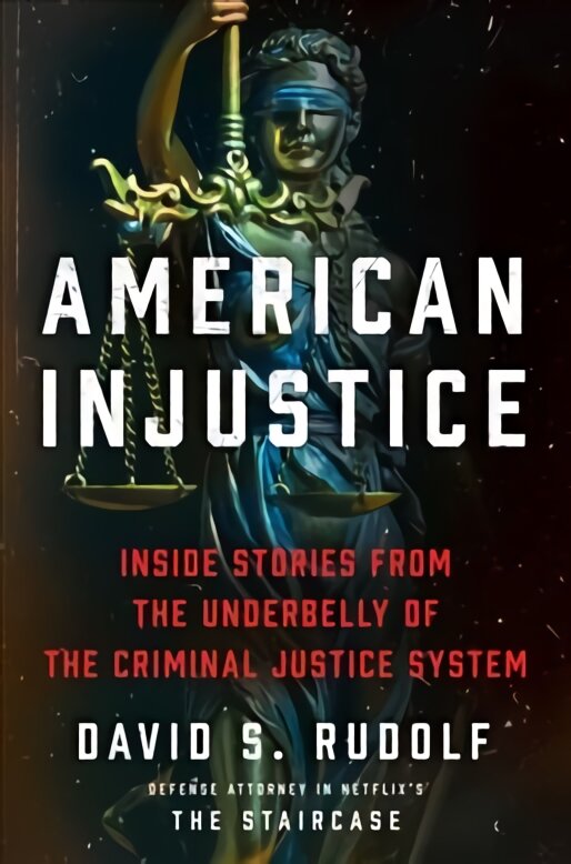 American Injustice: Inside Stories from the Underbelly of the Criminal Justice System kaina ir informacija | Socialinių mokslų knygos | pigu.lt