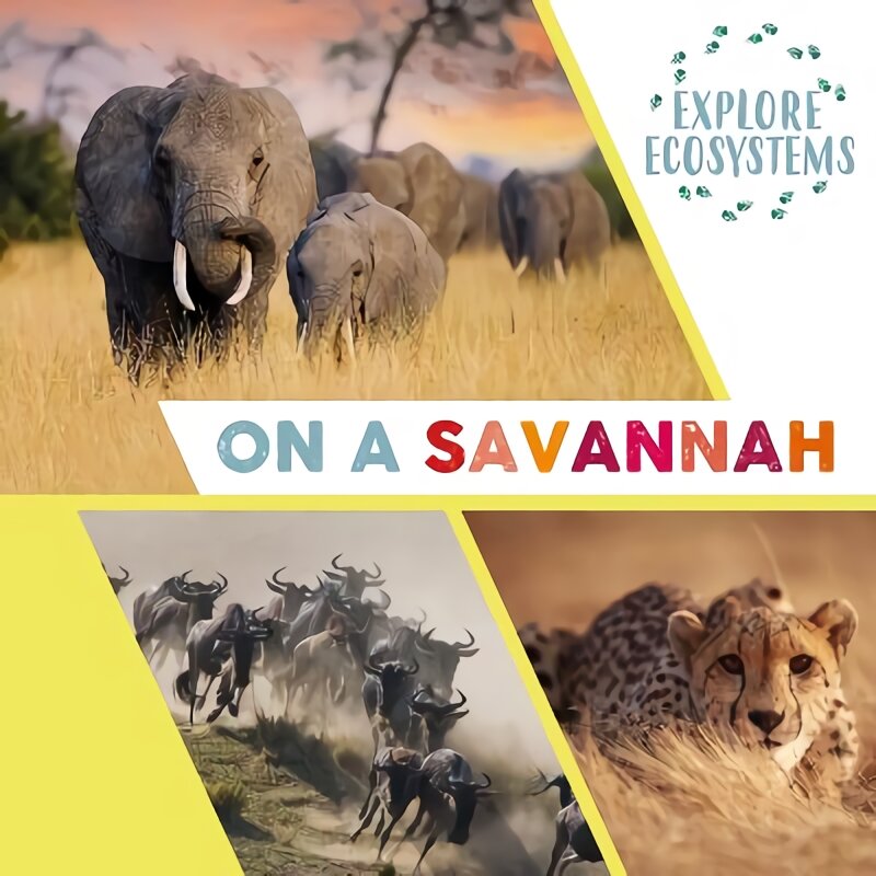 Explore Ecosystems: On a Savannah Illustrated edition kaina ir informacija | Knygos paaugliams ir jaunimui | pigu.lt