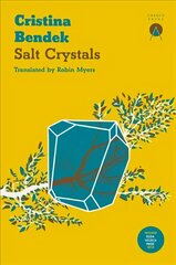 Salt Crystals цена и информация | Fantastinės, mistinės knygos | pigu.lt