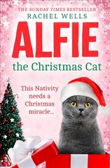 Alfie the Christmas Cat kaina ir informacija | Fantastinės, mistinės knygos | pigu.lt