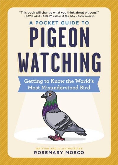 Pocket Guide to Pigeon Watching: Getting to Know the World's Most Misunderstood Bird kaina ir informacija | Knygos apie sveiką gyvenseną ir mitybą | pigu.lt