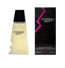 Tualetinis vanduo Iceberg Femme, EDT, moterims, 100 ml kaina ir informacija | Iceberg Kvepalai, kosmetika | pigu.lt