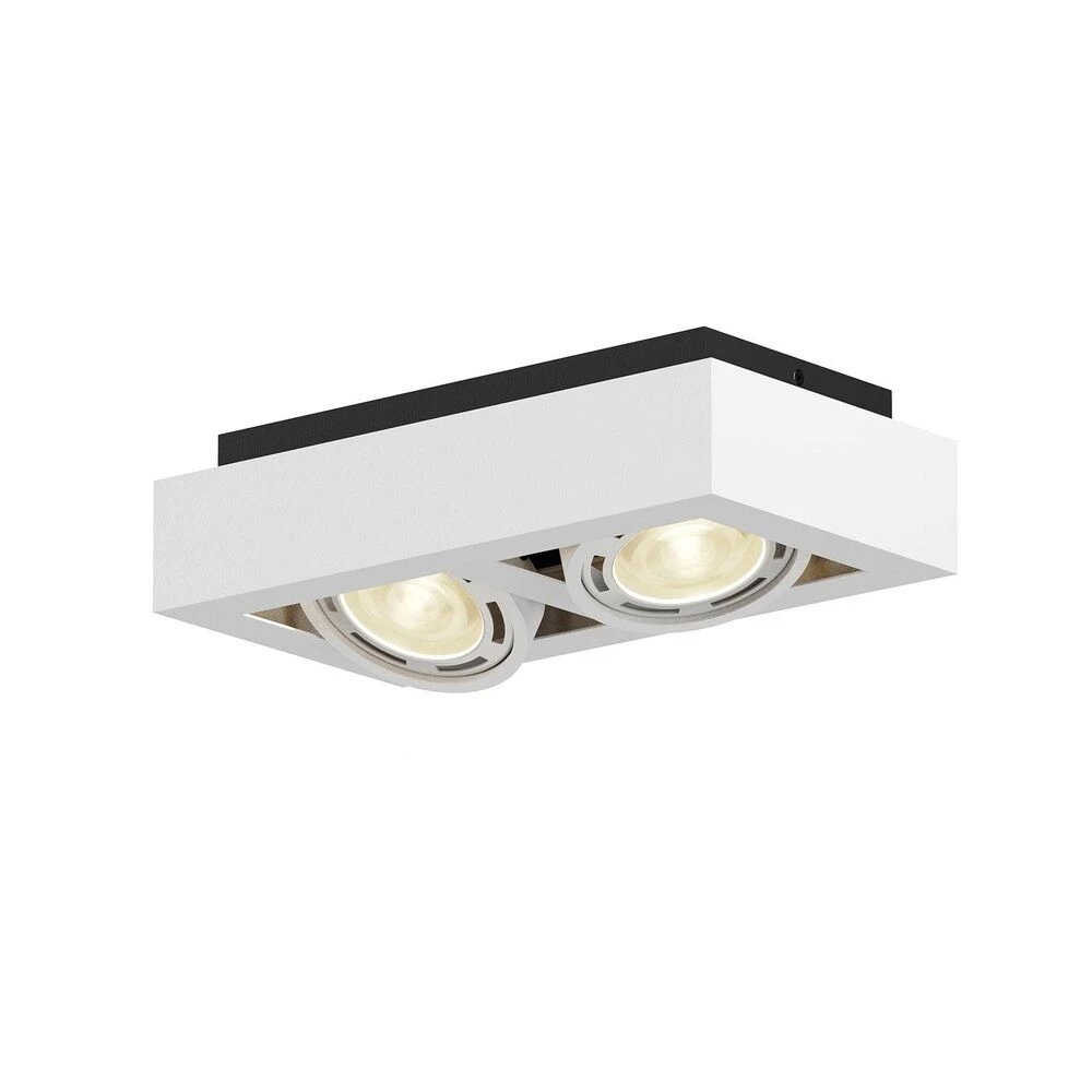 Ronka LED lubinis prožektorius, GU10, 2 lempučių, baltas kaina ir informacija | Lubiniai šviestuvai | pigu.lt