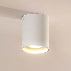 Накладной потолочный светильник White Carson цена и информация | Потолочные светильники | pigu.lt