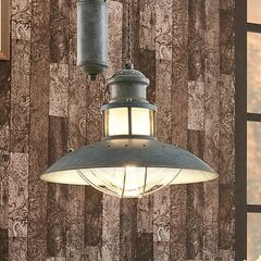 Louisanne - бетонно-серый подвесной светильник с подвеской Jojo цена и информация | Люстры | pigu.lt