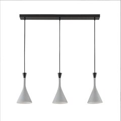 Подвесной светильник Flynn для столовой, серый, 3 источника света цена и информация | Люстры | pigu.lt