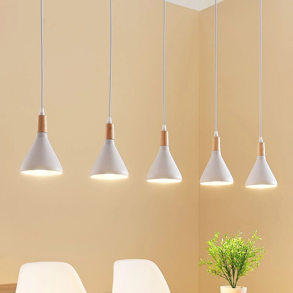 LED pakabinamas šviestuvas Arina baltos spalvos, 5 lemputės kaina ir informacija | Pakabinami šviestuvai | pigu.lt
