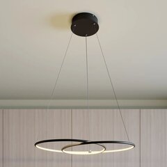 Подвесной светильник Lindby Lucy LED, 70 см, черный матовый цена и информация | Люстры | pigu.lt