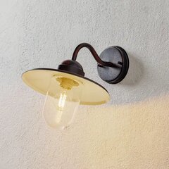 Настенный светильник ржаво-коричневого цвета Filip цена и информация | Настенные светильники | pigu.lt