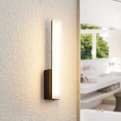 Настенный светильник Lucande Lisana LED, IP44, вертикальный цена и информация | Настенные светильники | pigu.lt