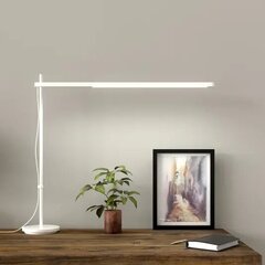 Artemide Talak Professional LED настольная лампа белый цена и информация | Настольные светильники | pigu.lt