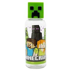 Minecraft, 560 ml kaina ir informacija | Žaidėjų atributika | pigu.lt