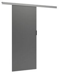 Stumdomosios durys Greg 86cm, pilkos spalvos kaina ir informacija | Vidaus durys | pigu.lt