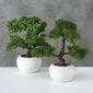 Boltze dirbtinis augalas Bonsai kaina ir informacija | Interjero detalės | pigu.lt