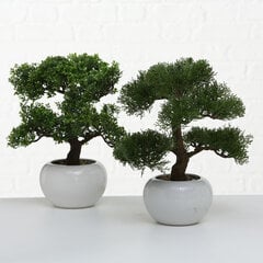 Boltze dirbtinis augalas Bonsai kaina ir informacija | Interjero detalės | pigu.lt