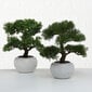 Boltze dirbtinis augalas Bonsai kaina ir informacija | Interjero detalės | pigu.lt