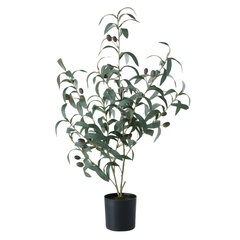 Декоративное оливковое дерево Boltze 70 см цена и информация | Детали интерьера | pigu.lt