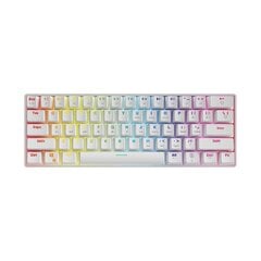 Клавиатура SAVIO Mechanical Keyboard Whiteout Brown (Оутему Браун), белая цена и информация | Клавиатуры | pigu.lt