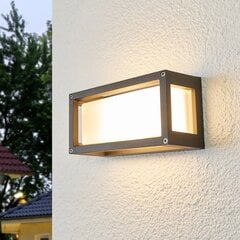 Aurelien - бра для наружного освещения с серой рамой цена и информация | Уличные светильники | pigu.lt