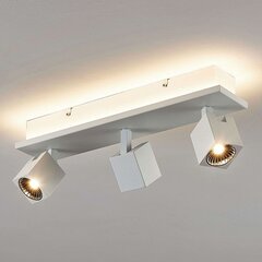 Светодиодный потолочный светильник Taly, 3 белых прожектора цена и информация | Потолочные светильники | pigu.lt