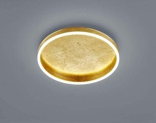 Sona Ceiling Light Акриловый рассеиватель с сусальным золотом, сатинированный цена и информация | Потолочные светильники | pigu.lt